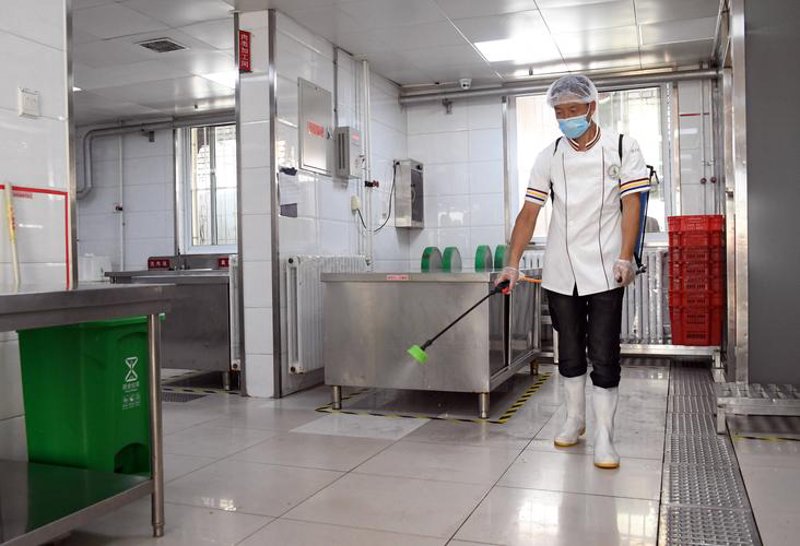 灭老鼠方法大揭秘：家庭卫士需掌握的生存技巧