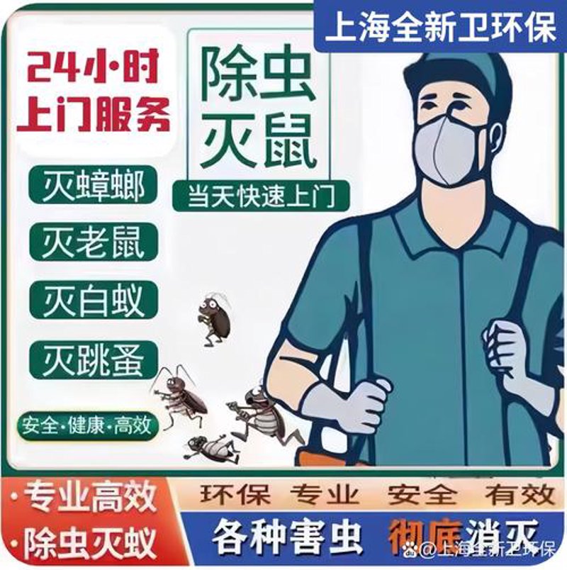 白蚁防治：防微杜渐 守护家园