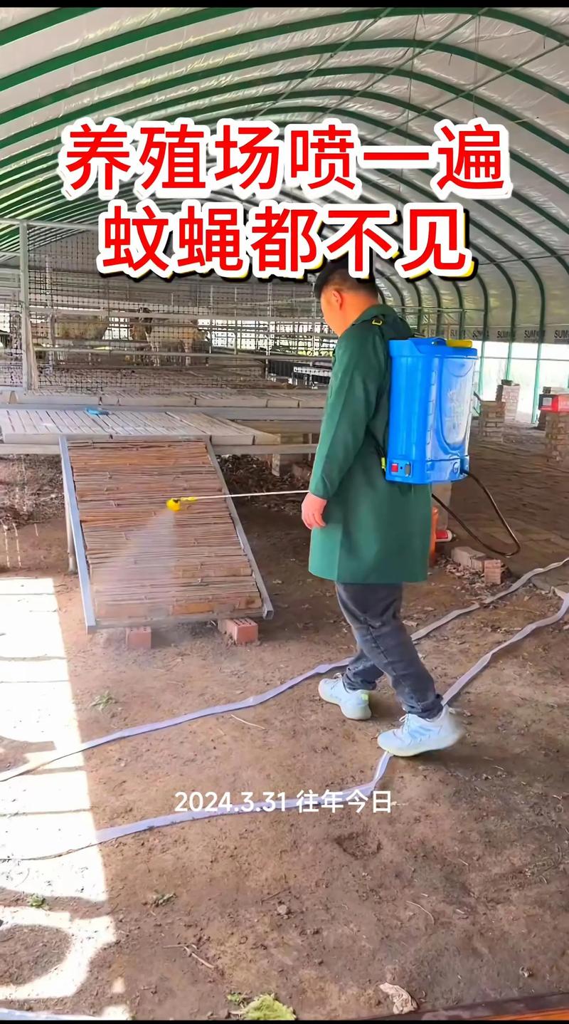 家庭白蚁防治选购指南